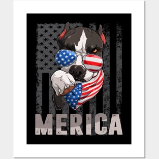 Merica pitbull 4th of July ,Funny 4th of July Lover Posters and Art